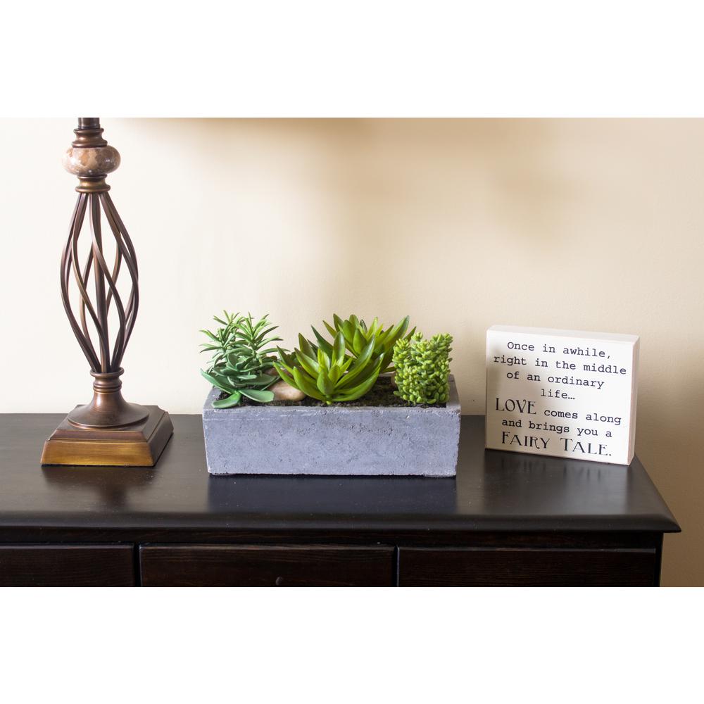 Succulent Garden with Concrete Planter. Picture 24