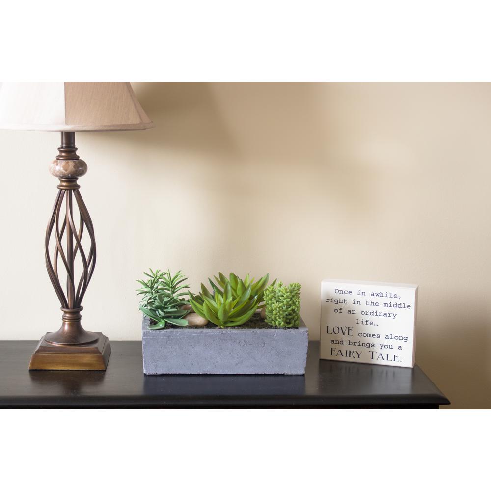 Succulent Garden with Concrete Planter. Picture 16