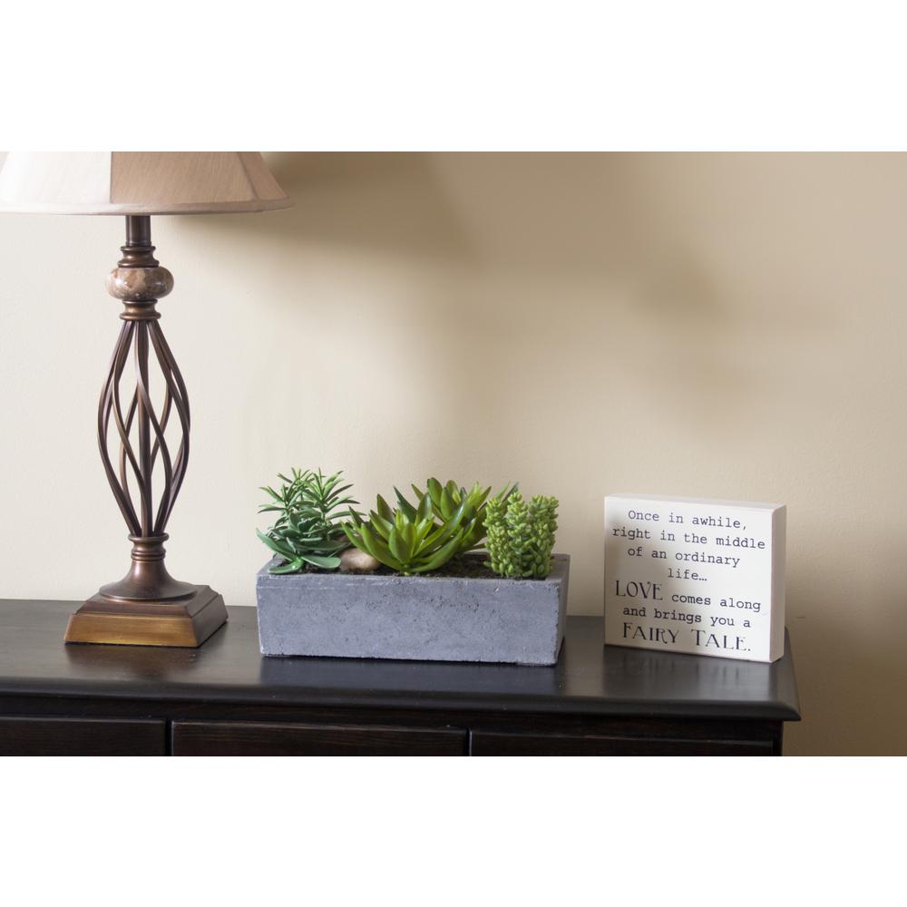 Succulent Garden with Concrete Planter. Picture 17