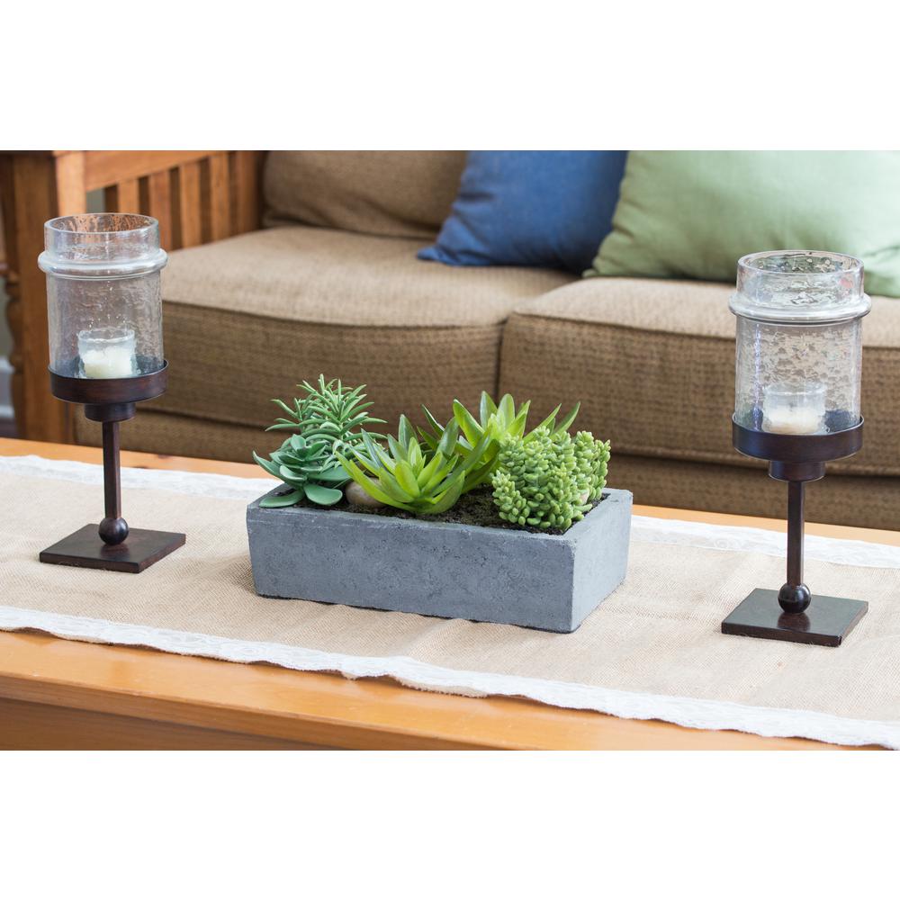Succulent Garden with Concrete Planter. Picture 4