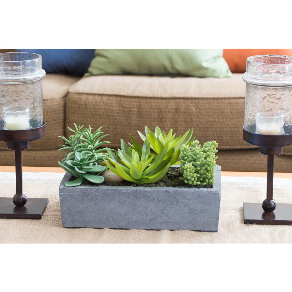 Succulent Garden with Concrete Planter. Picture 5