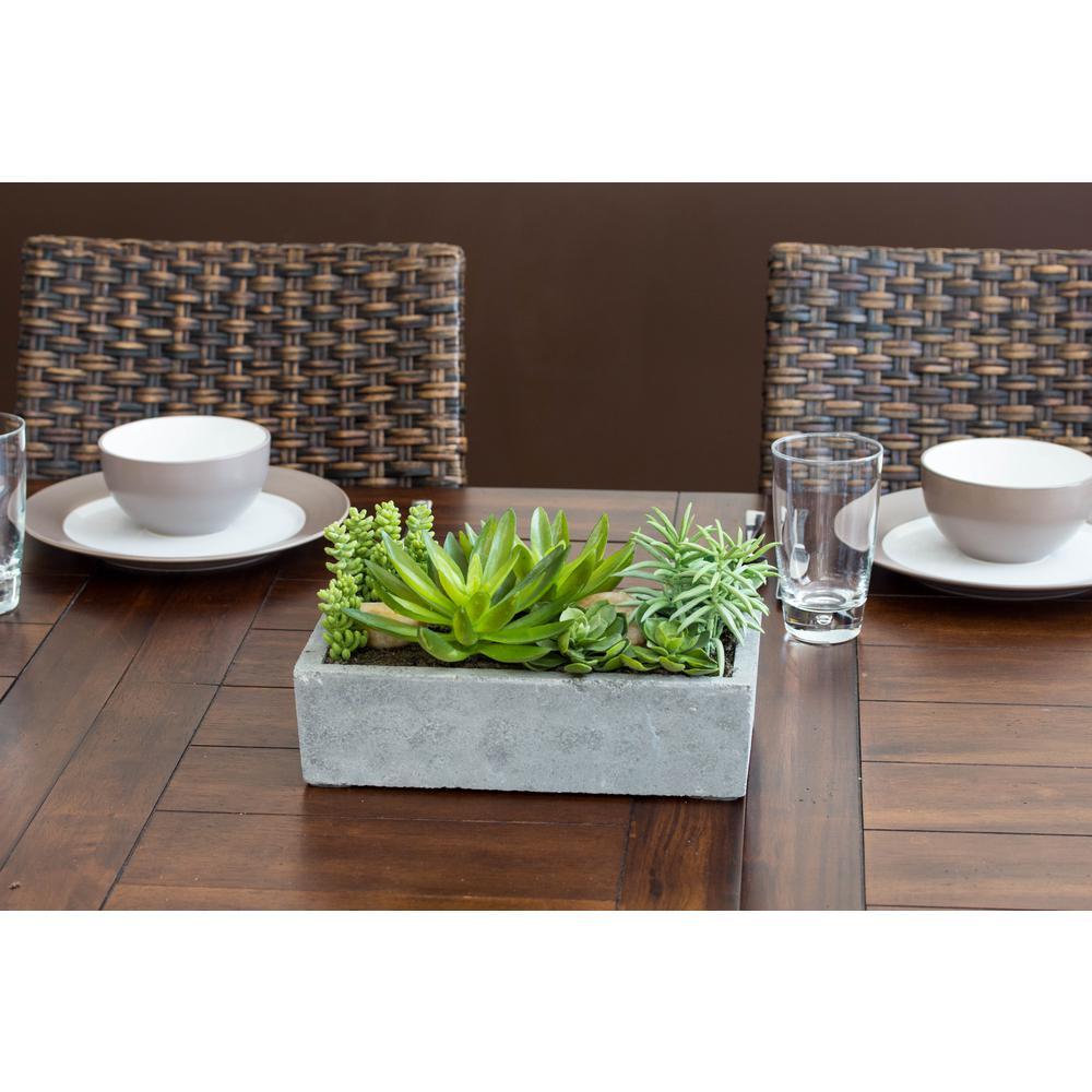 Succulent Garden with Concrete Planter. Picture 20