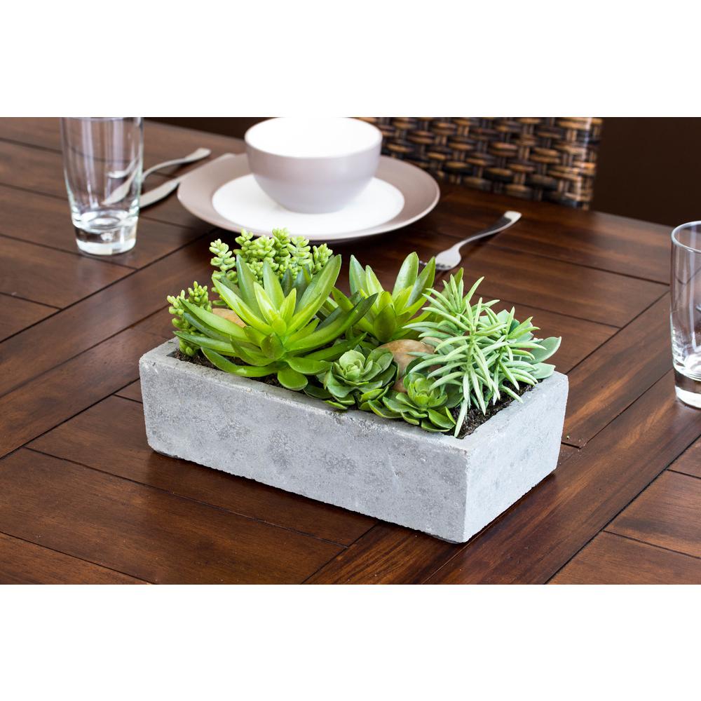Succulent Garden with Concrete Planter. Picture 21
