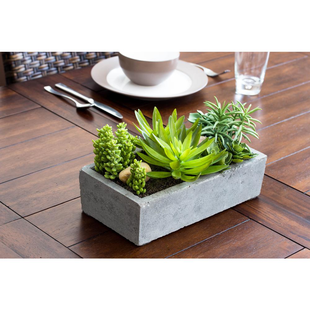 Succulent Garden with Concrete Planter. Picture 25