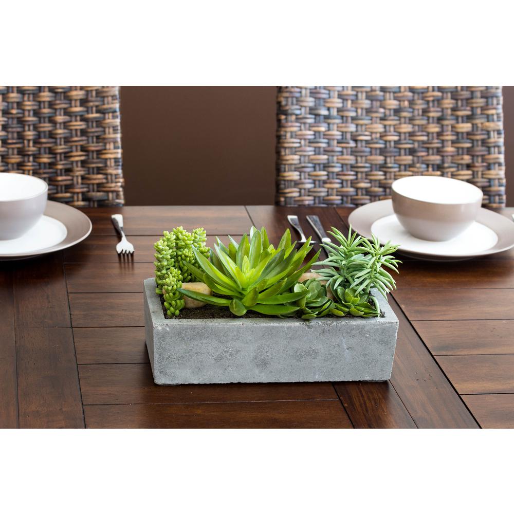 Succulent Garden with Concrete Planter. Picture 23