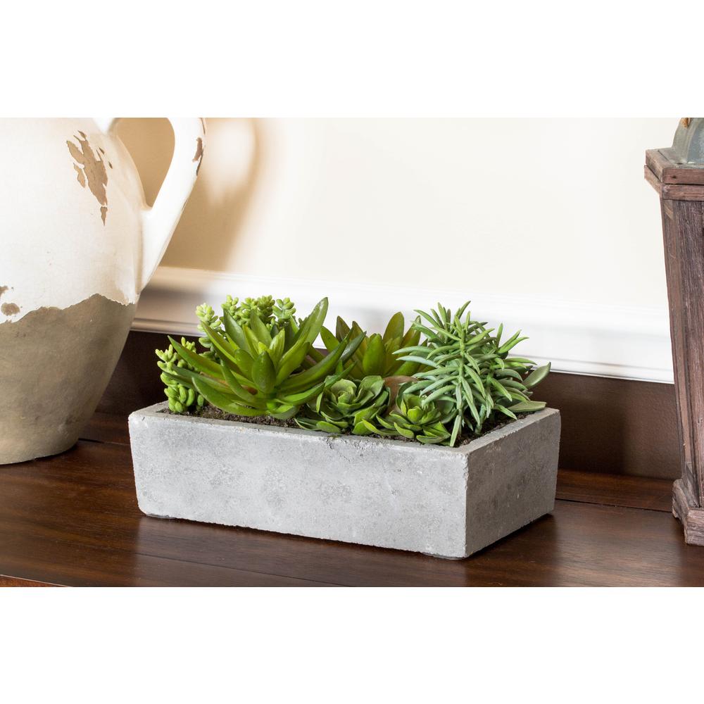 Succulent Garden with Concrete Planter. Picture 10