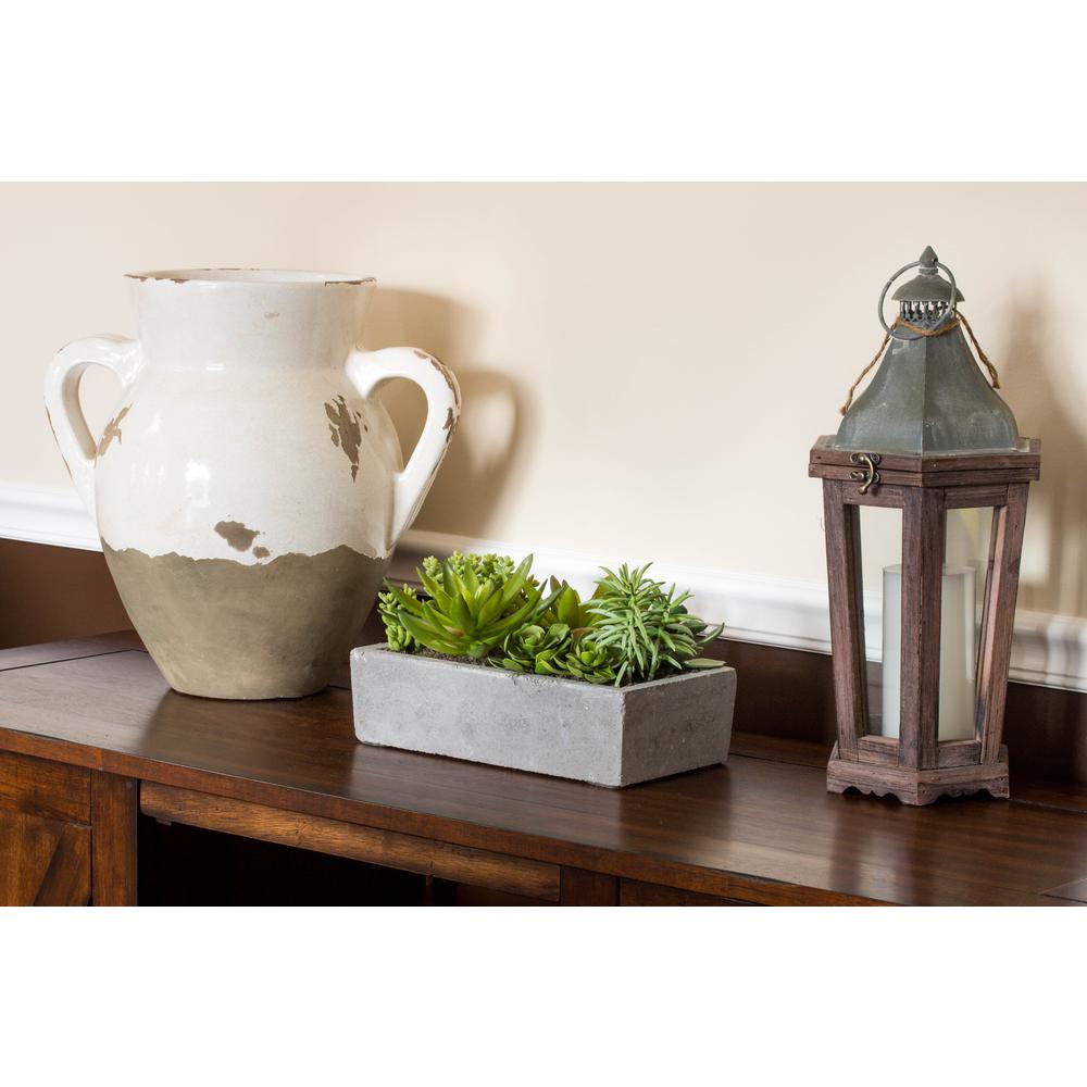 Succulent Garden with Concrete Planter. Picture 14