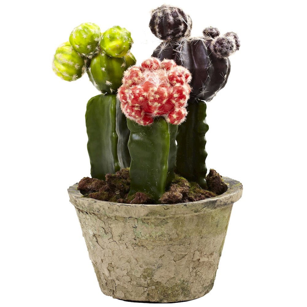 Colorful Cactus Gardens (Set of 2). Picture 2