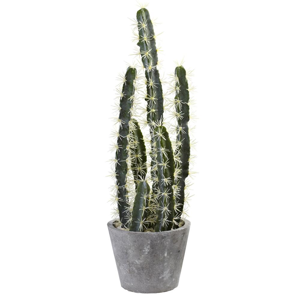 Decorative Cactus Garden with Cement Planter. Picture 1