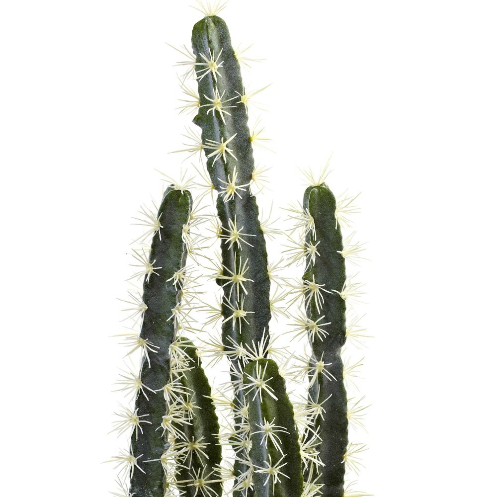 Decorative Cactus Garden with Cement Planter. Picture 5