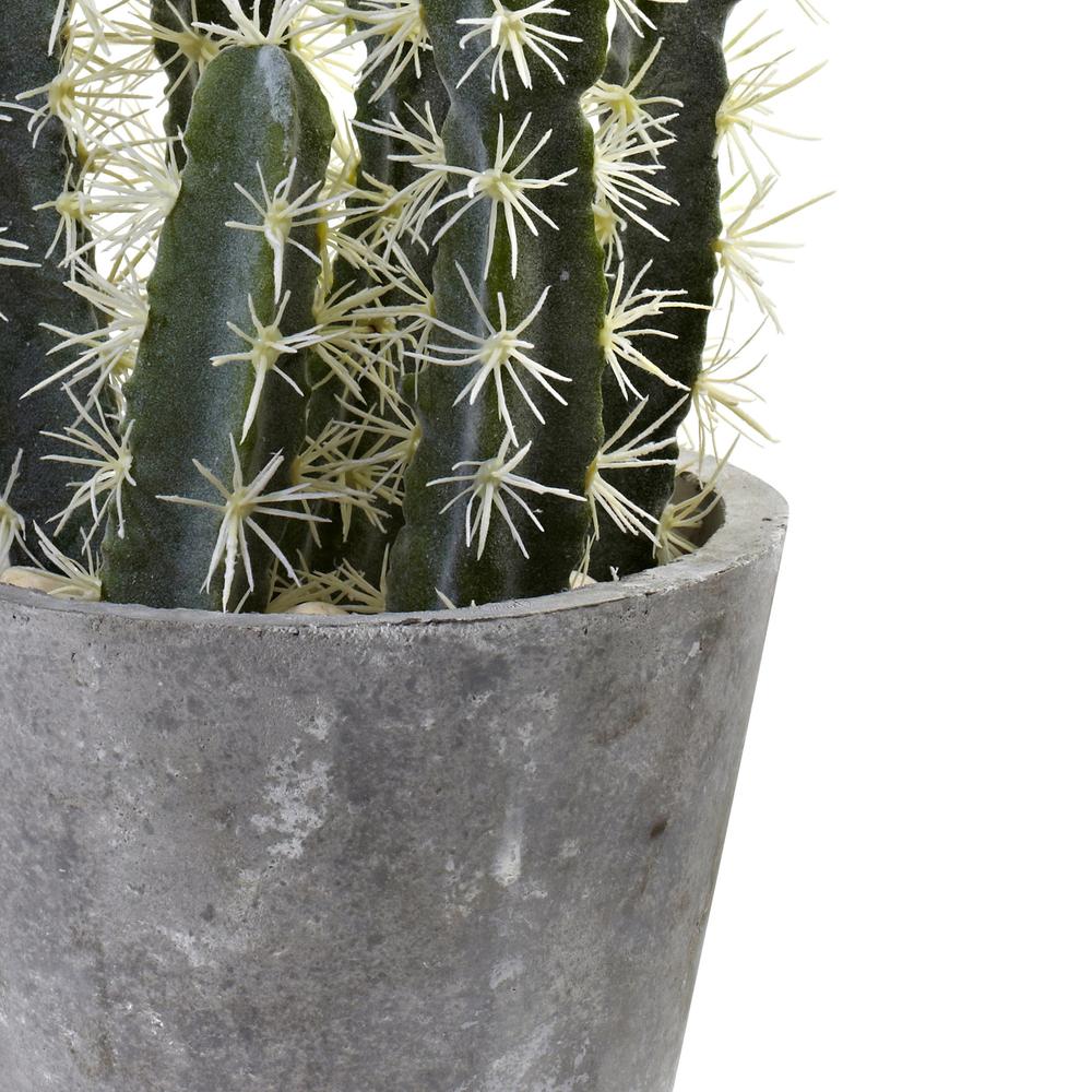 Decorative Cactus Garden with Cement Planter. Picture 10