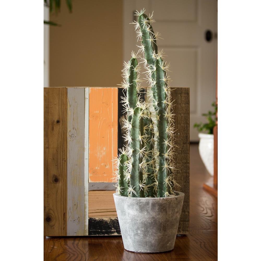 Decorative Cactus Garden with Cement Planter. Picture 11