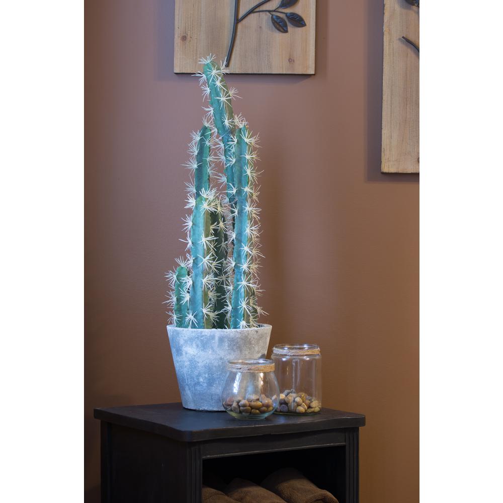 Decorative Cactus Garden with Cement Planter. Picture 6