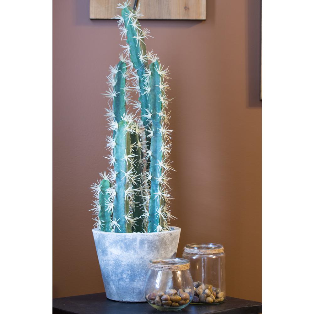 Decorative Cactus Garden with Cement Planter. Picture 3