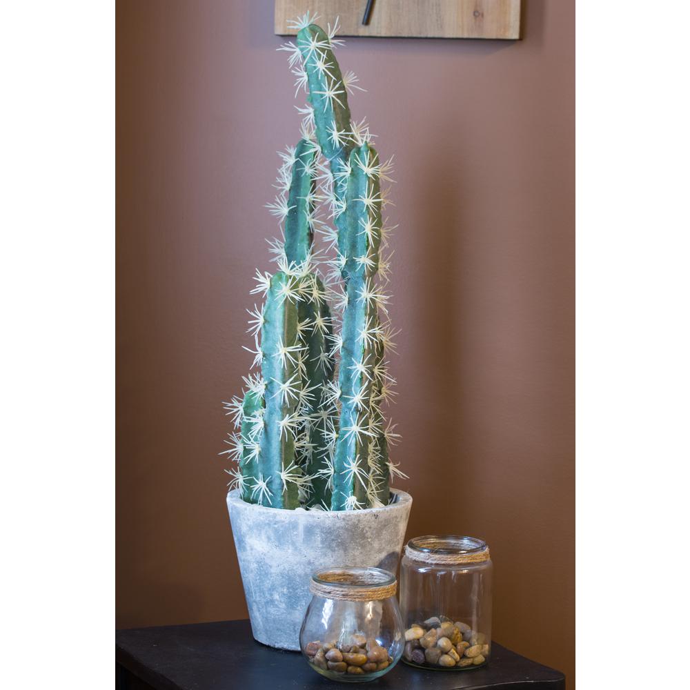 Decorative Cactus Garden with Cement Planter. Picture 12