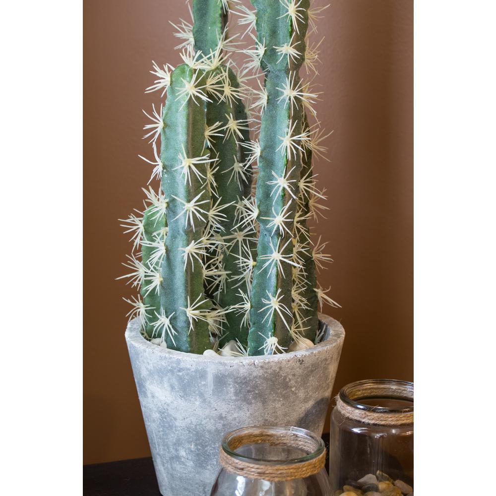 Decorative Cactus Garden with Cement Planter. Picture 15