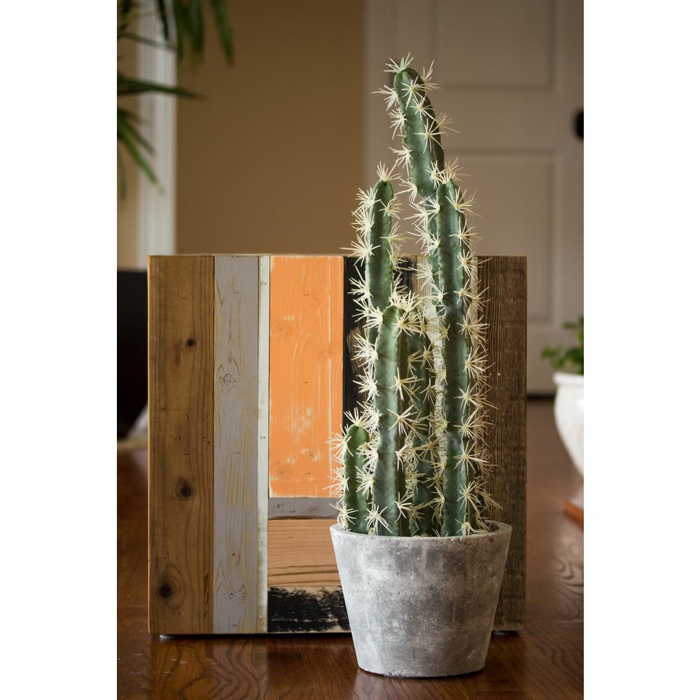 Decorative Cactus Garden with Cement Planter. Picture 16