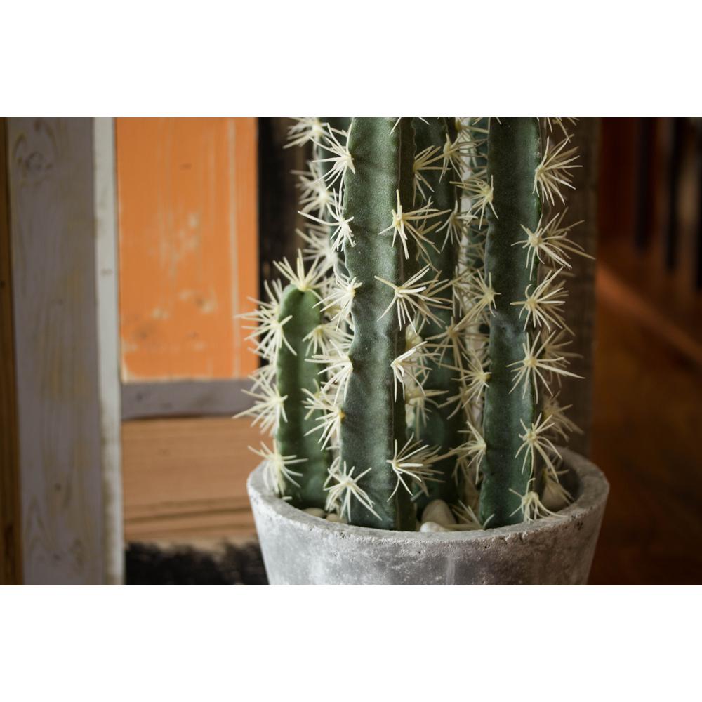 Decorative Cactus Garden with Cement Planter. Picture 13