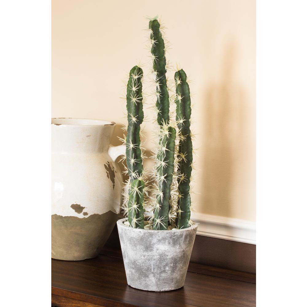 Decorative Cactus Garden with Cement Planter. Picture 9