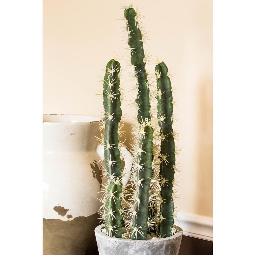 Decorative Cactus Garden with Cement Planter. Picture 4