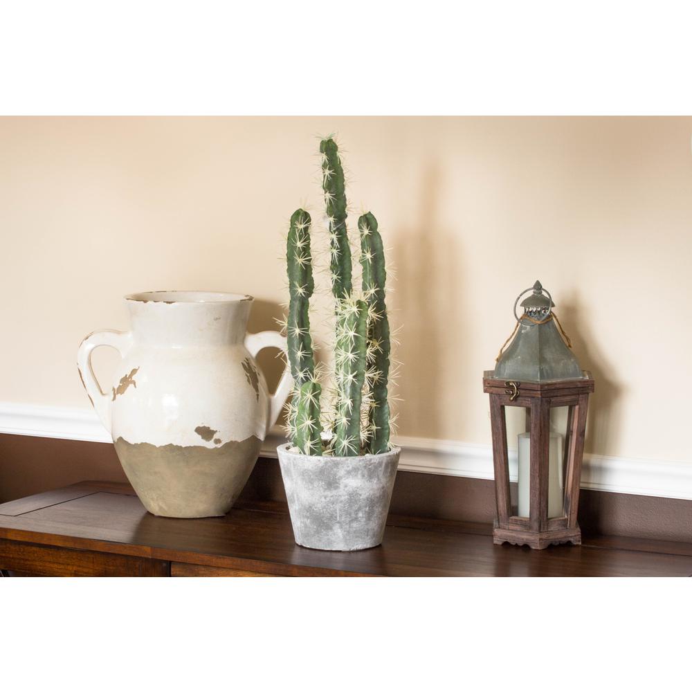 Decorative Cactus Garden with Cement Planter. Picture 14