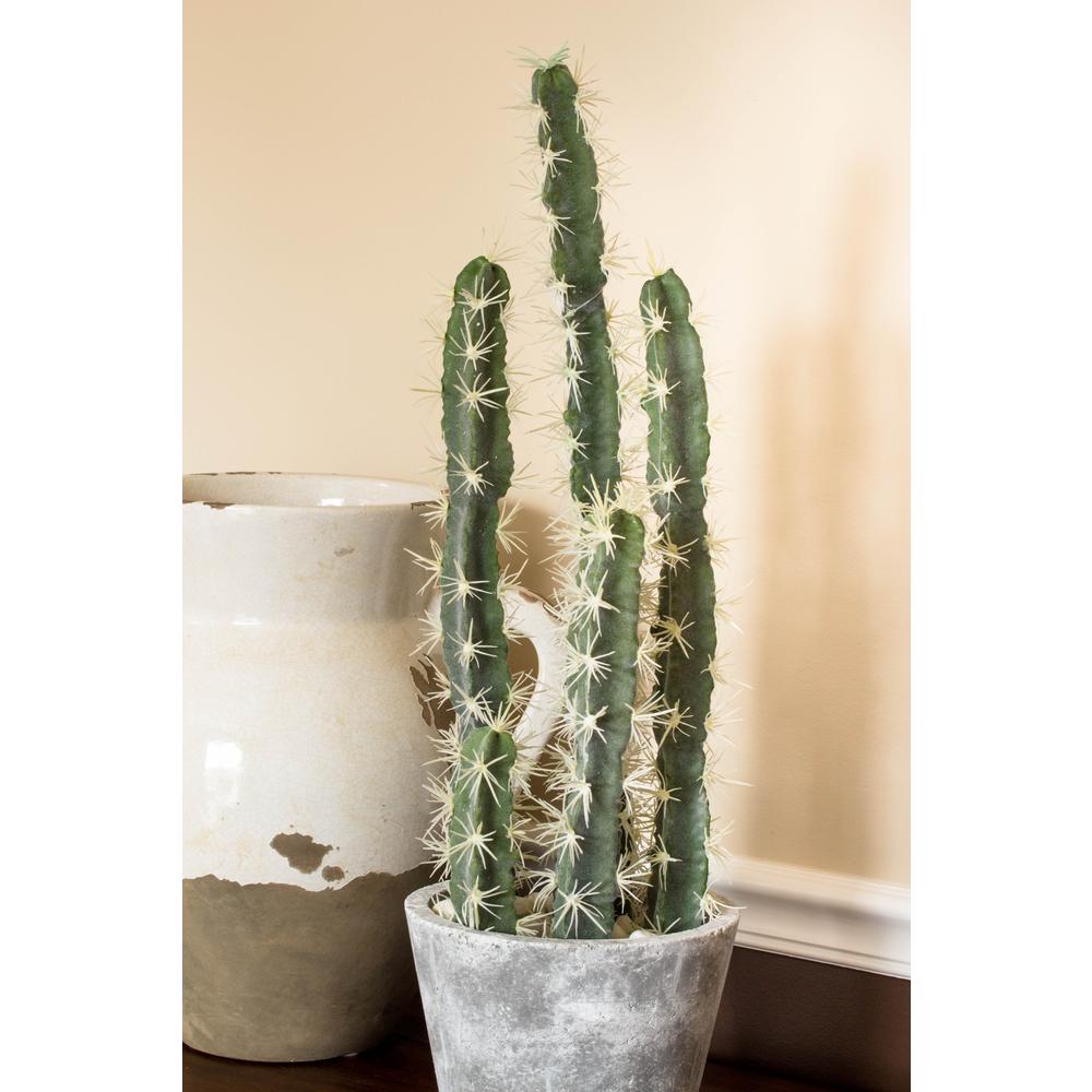 Decorative Cactus Garden with Cement Planter. Picture 17