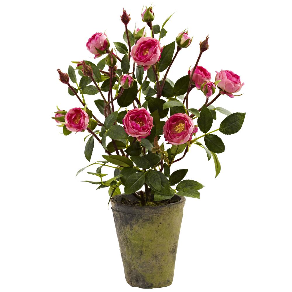 French Rose Garden. Picture 1