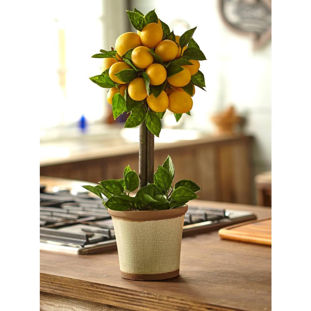 Lemon Ball Topiary Arrangement. Picture 4