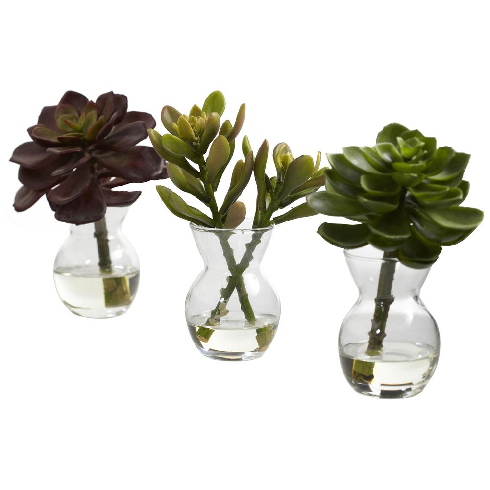 Succulent Arrangements (Set of 3). Picture 1