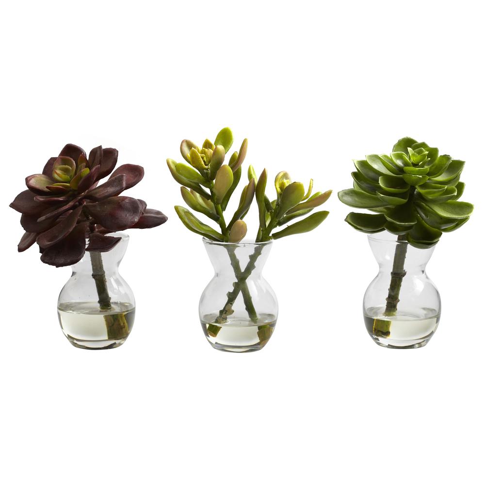 Succulent Arrangements (Set of 3). Picture 2