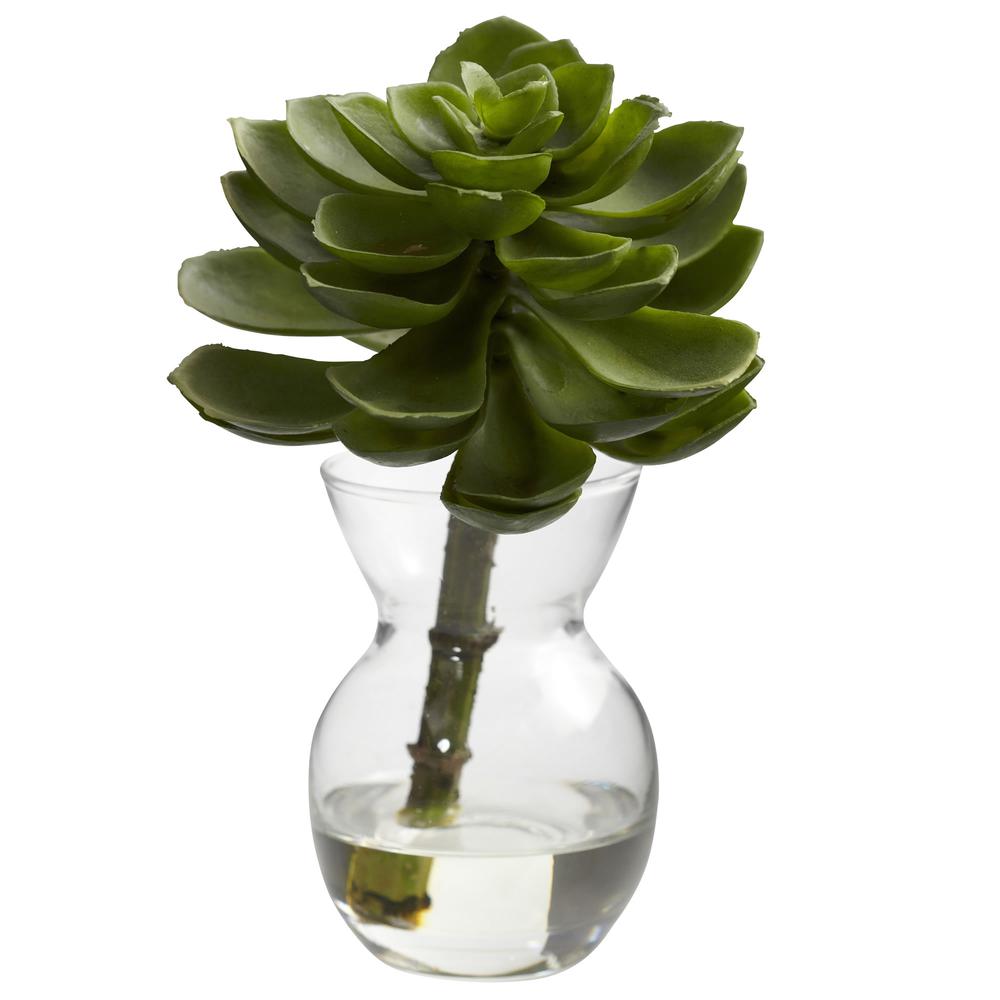 Succulent Arrangements (Set of 3). Picture 4