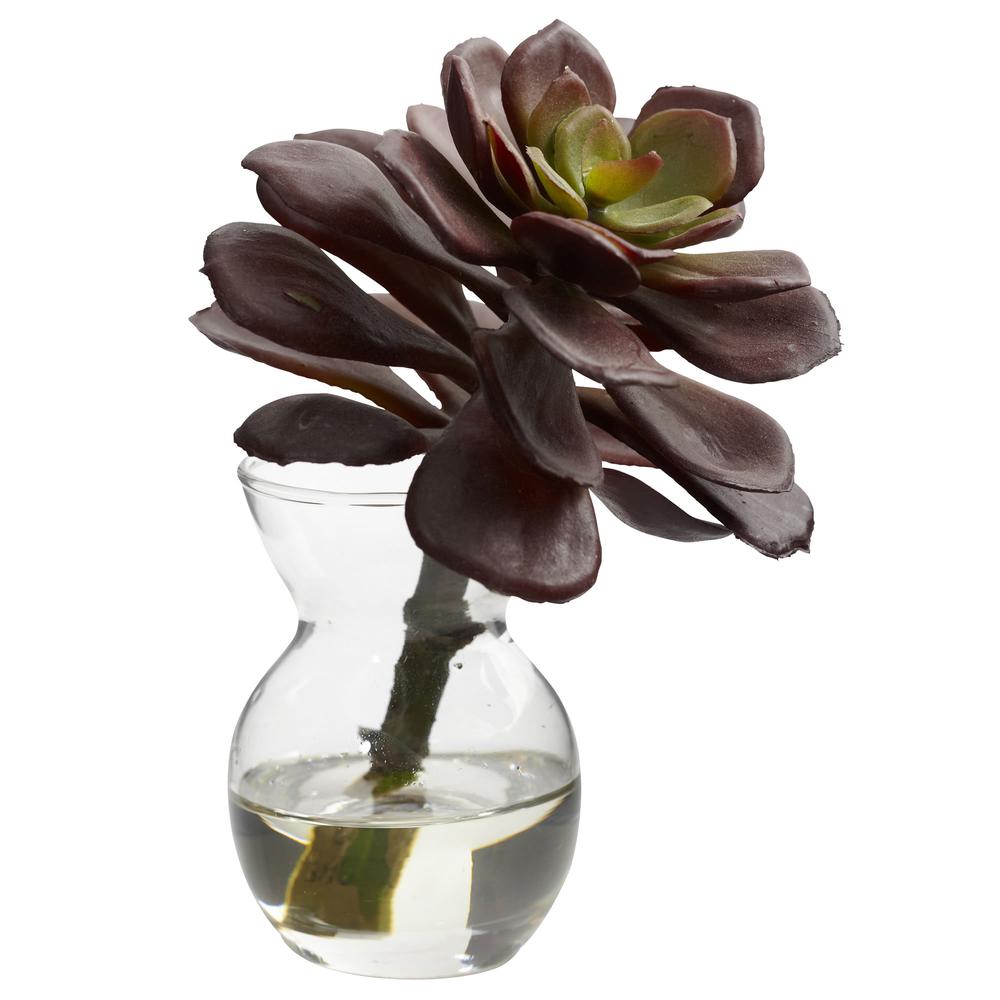 Succulent Arrangements (Set of 3). Picture 5