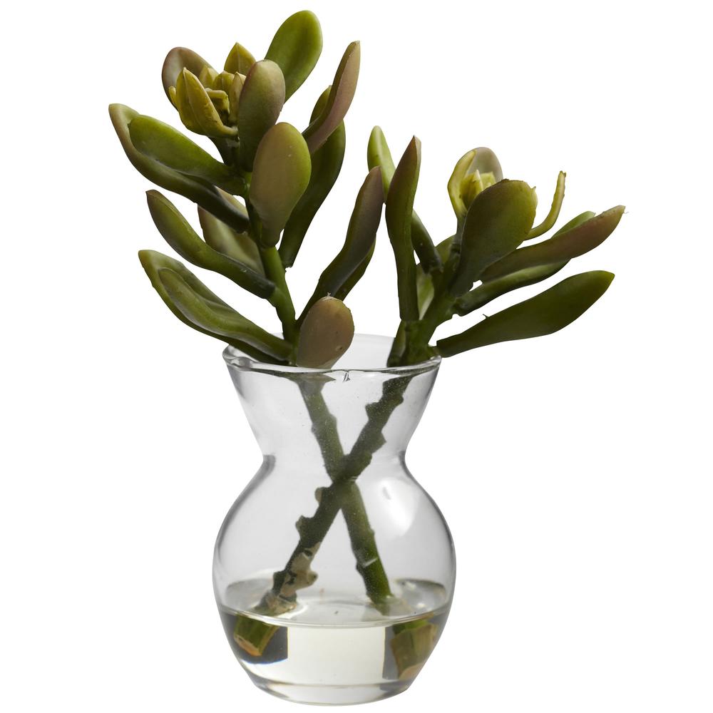 Succulent Arrangements (Set of 3). Picture 9