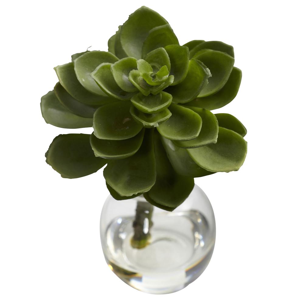 Succulent Arrangements (Set of 3). Picture 10