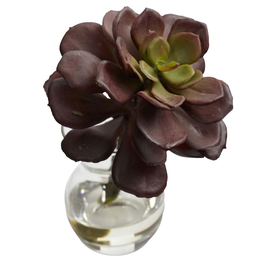 Succulent Arrangements (Set of 3). Picture 6