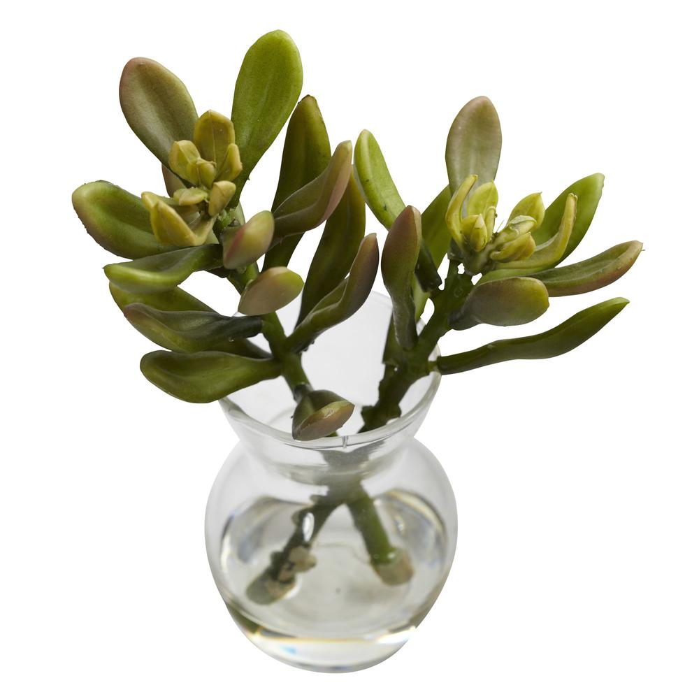 Succulent Arrangements (Set of 3). Picture 7