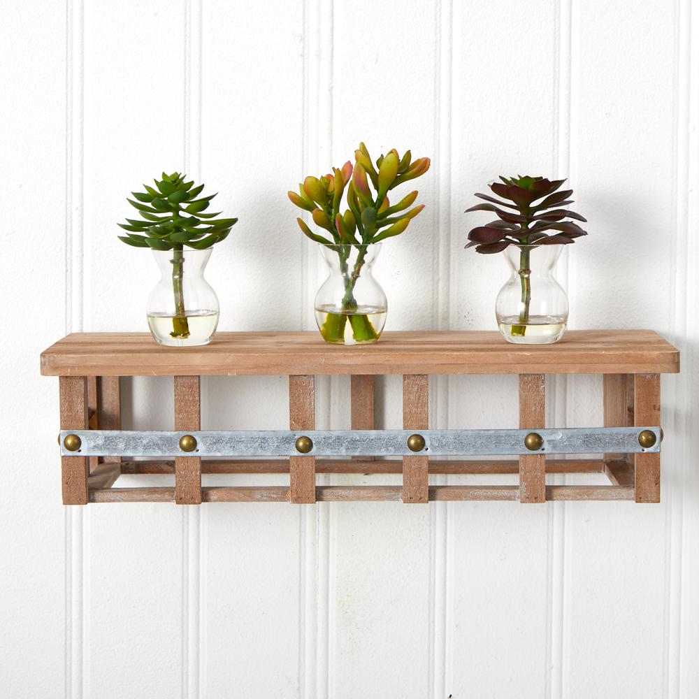 Succulent Arrangements (Set of 3). Picture 8