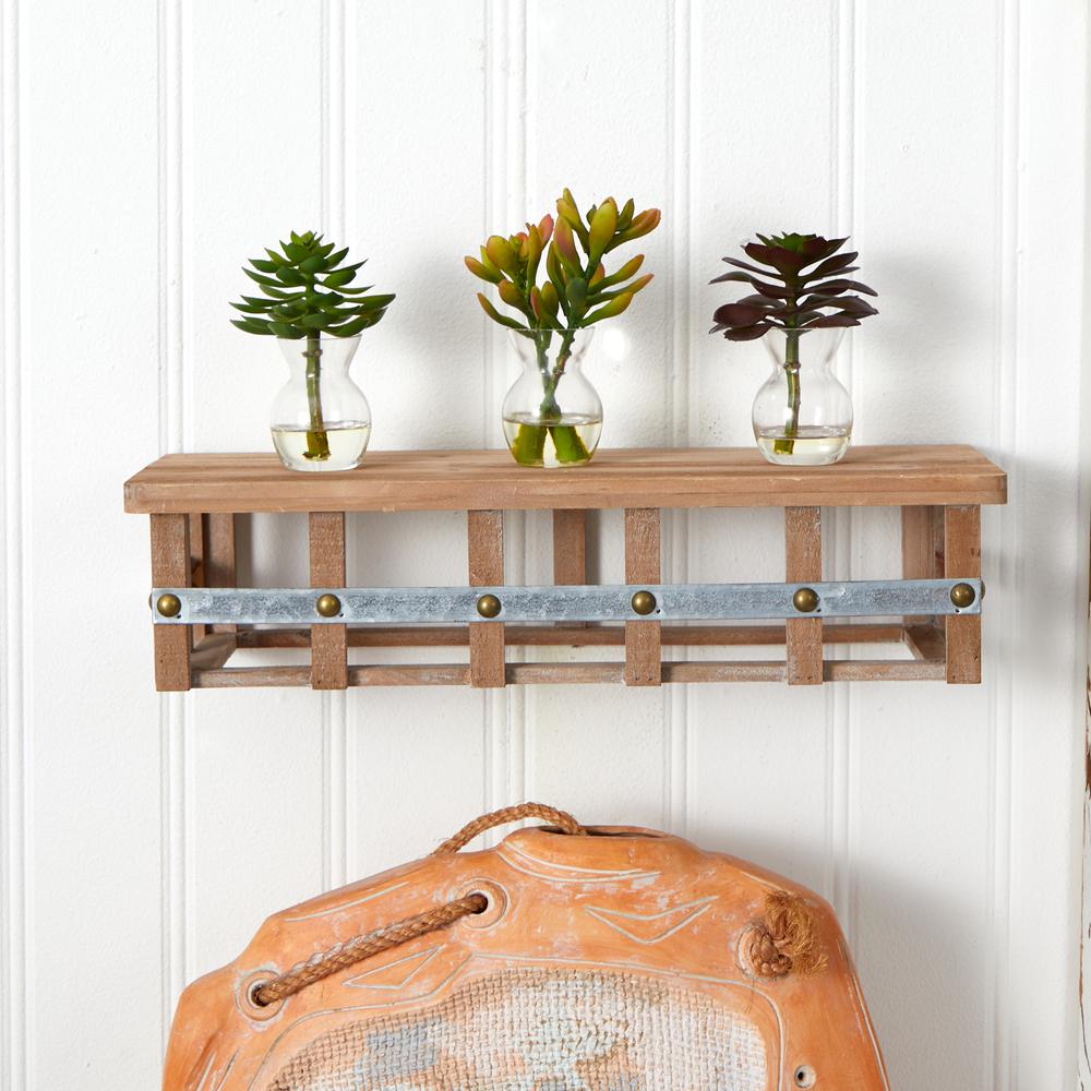 Succulent Arrangements (Set of 3). Picture 3