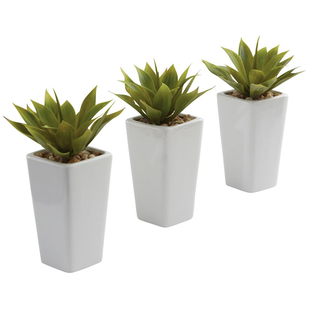 Mini Agave with Planter (Set of 3) White. Picture 1