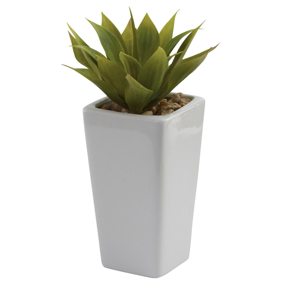 Mini Agave with Planter (Set of 3) White. Picture 4