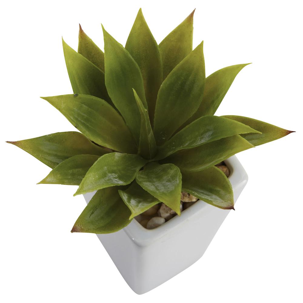 Mini Agave with Planter (Set of 3) White. Picture 2