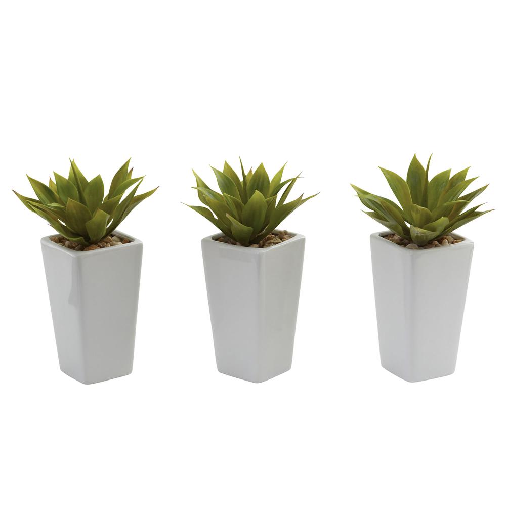 Mini Agave with Planter (Set of 3) White. Picture 3