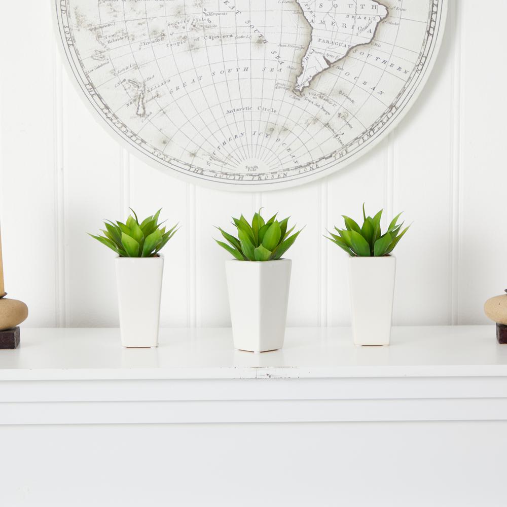 Mini Agave with Planter (Set of 3) White. Picture 5