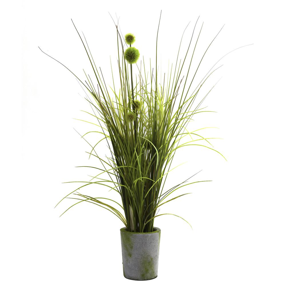 Grass & Dandelion with Cement Planter. Picture 1