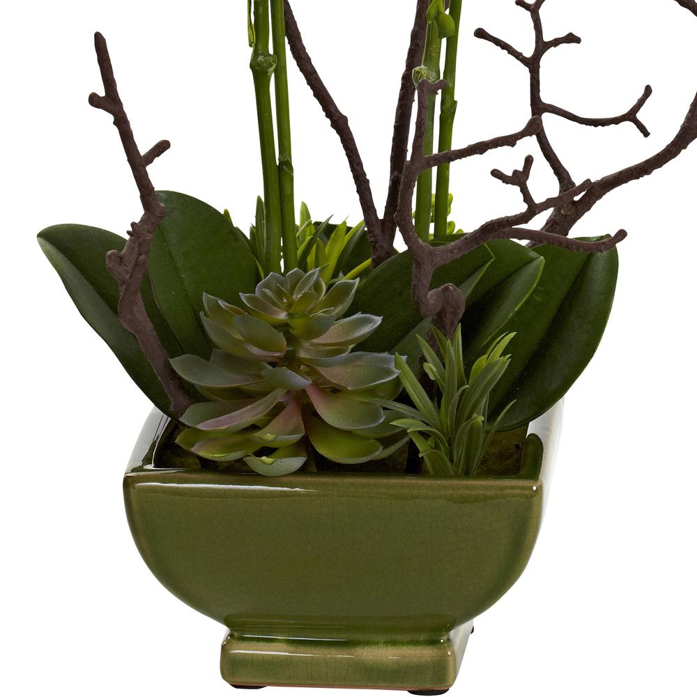 Orchid & Succulent Floral Arrangement. Picture 3