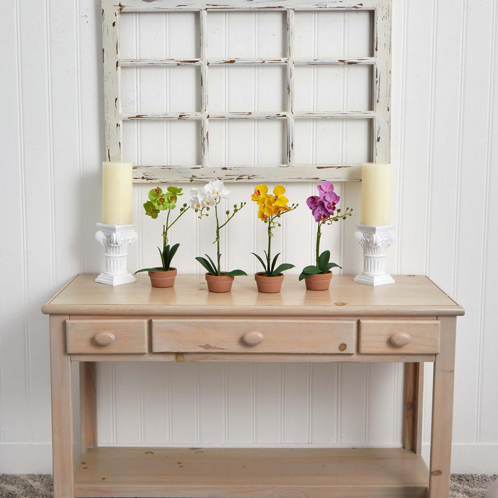 Phalaenopsis Orchid with Clay Vase (Set of 4). Picture 7