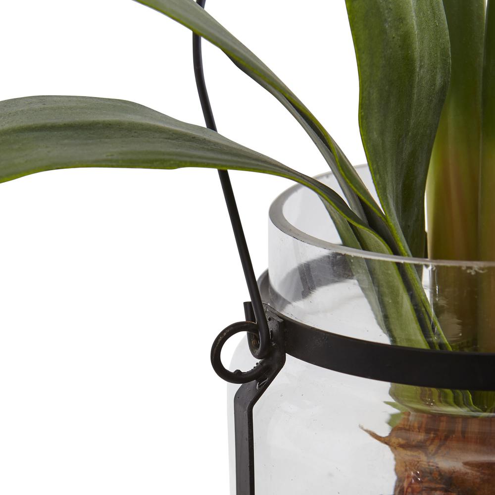 24in. Amaryllis with Vase. Picture 3