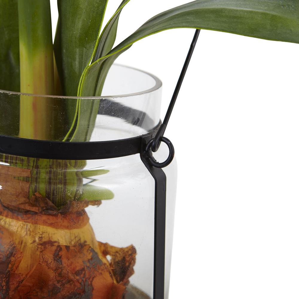 24in. Amaryllis with Vase. Picture 5