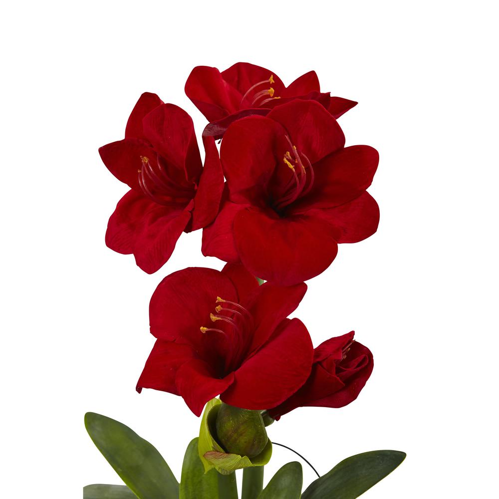 24in. Amaryllis with Vase. Picture 6