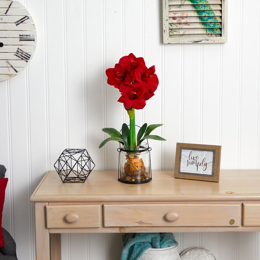 24in. Amaryllis with Vase. Picture 2
